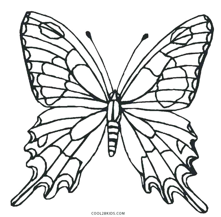850x835 Coloring Page Of Butterfly Butterfly Wings Coloring Pages