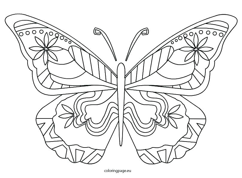 808x595 Coloring Pages Of A Butterfly Coloring Butterfly Butterfly Wings