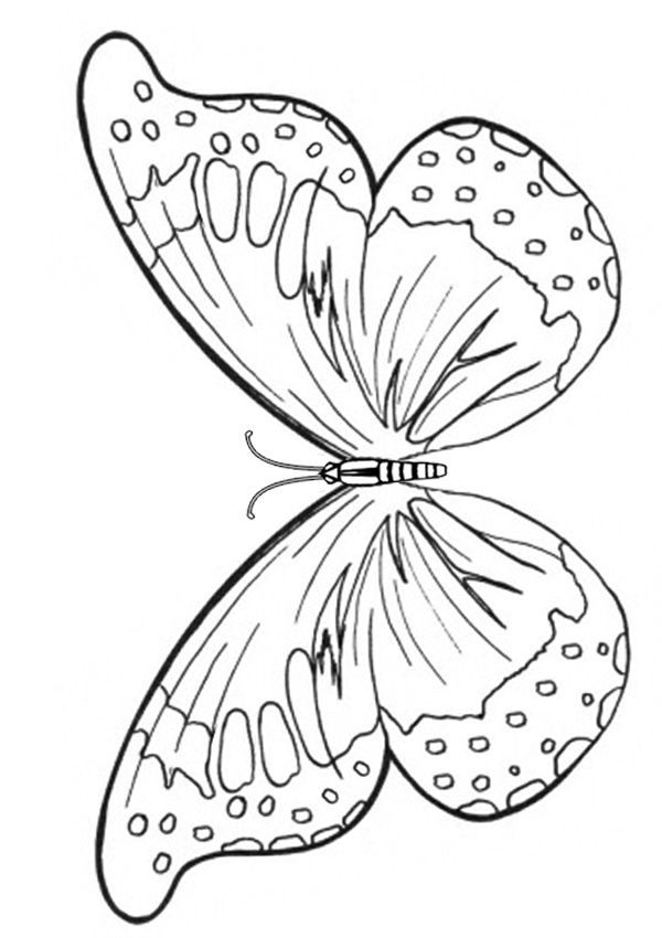 Butterfly Wings Coloring Pages at GetDrawings | Free download