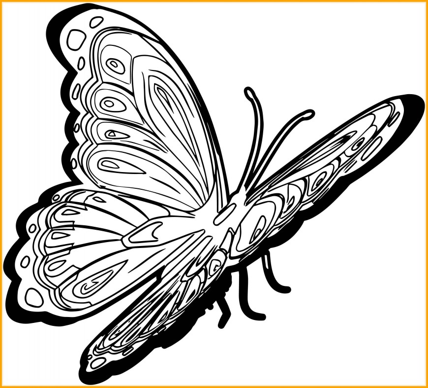 870x787 Inspiring New Butterfly Picture Coloring Page Wecoloringpage