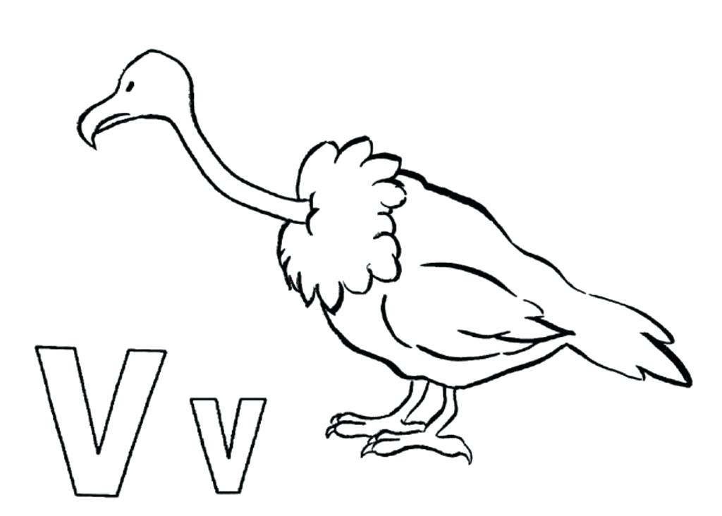 1024x732 Free Vulture Coloring Page To Print For Kids Animals King Pages