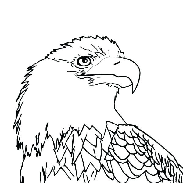 600x600 Philadelphia Eagles Coloring Pages Eagles Coloring Pages Coloring