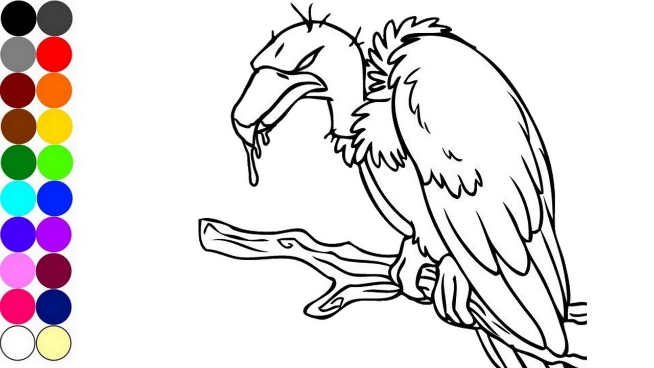 1280x720 Surging Vulture Coloring Pages How To Draw