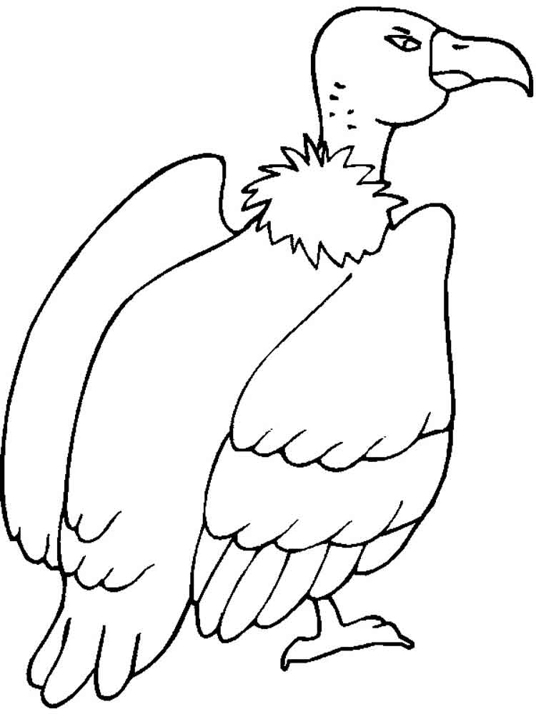 750x1000 Vulture Coloring Pages Download And Print Vulture Coloring Pages