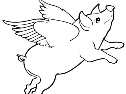 440x330 Wild Vulture Alphabet Coloring Pages Free Page To Print For Kids