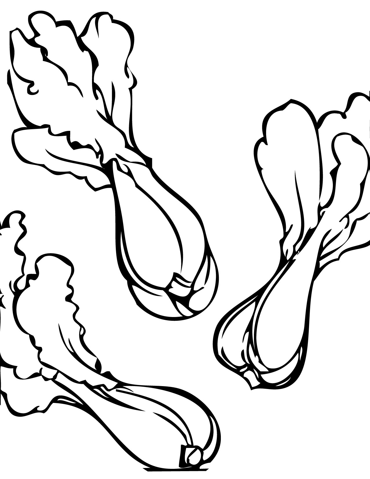 1275x1650 Cabbage Vegetable Coloring Page For Kids Lovely Cabbage Coloring