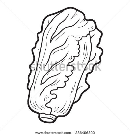 450x470 Chinese Cabbage Coloring Pages