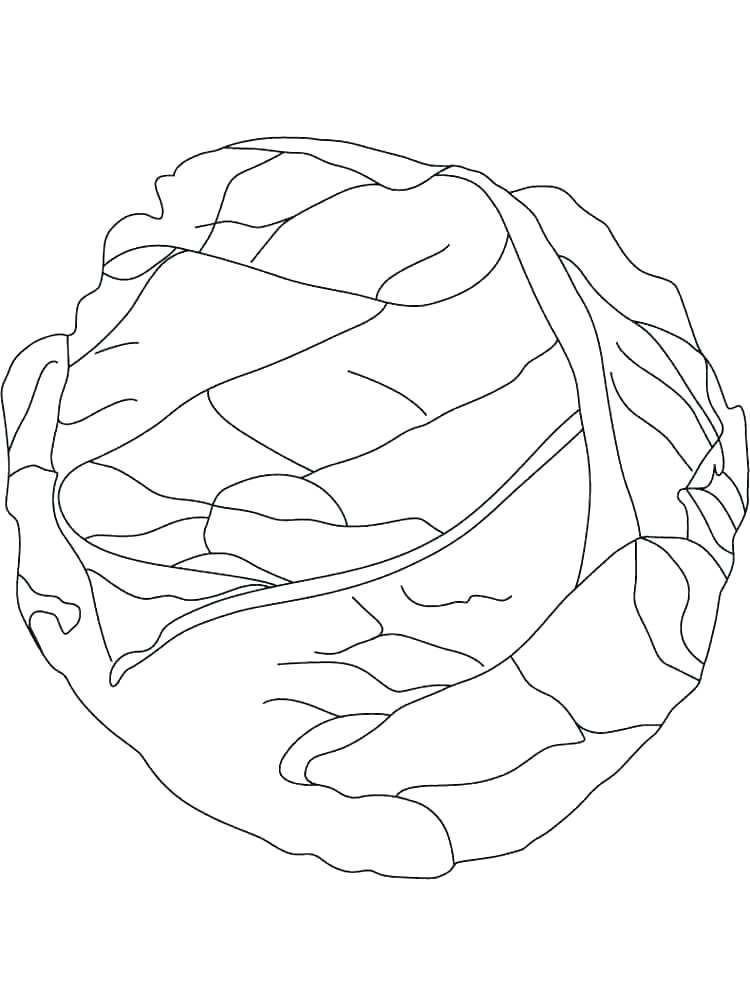 750x1000 Lettuce Coloring Page Lettuce Coloring Page Lettuce Coloring Page