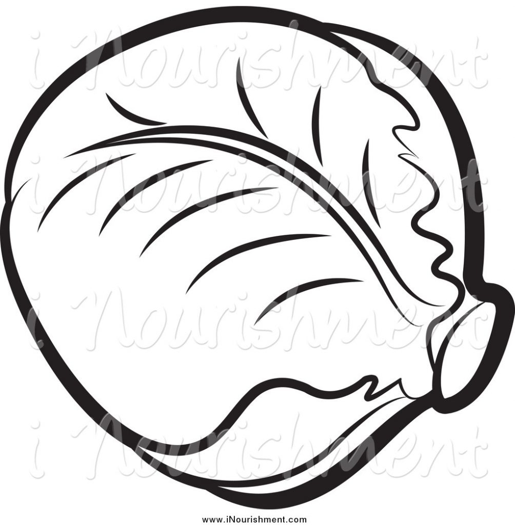 1004x1024 Unique Lettuce Coloring Pages Design Free Coloring Pages