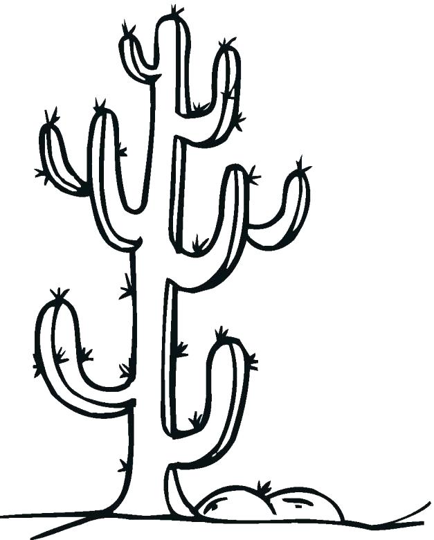 627x780 Cactus Coloring Pages Cactus Coloring Page Cactus Coloring Page