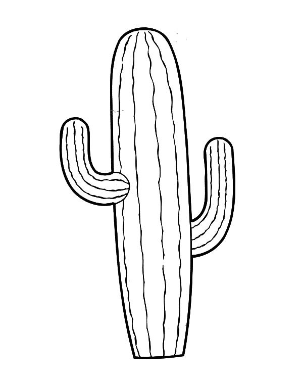 600x758 Simple Picture Of Cactus Coloring Pages Best Place To Color