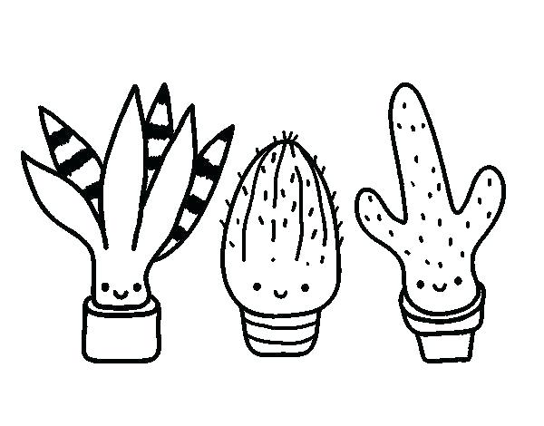 600x470 Cactus Coloring Pages