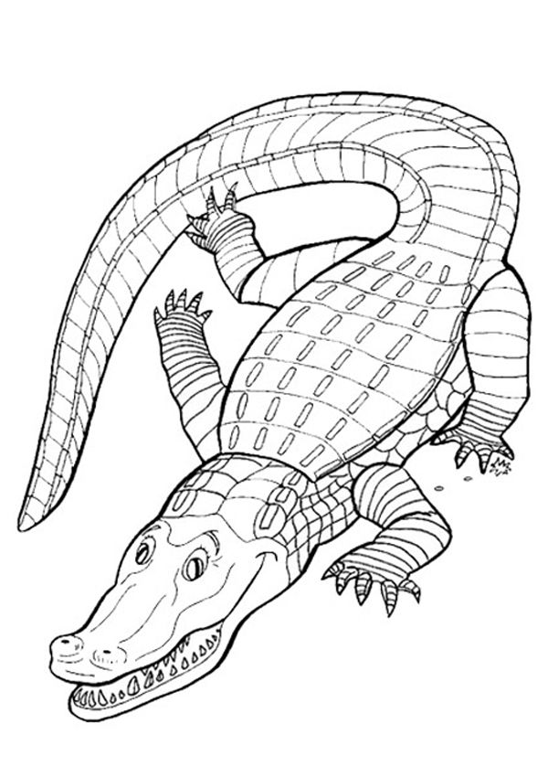 600x850 Free Online Crocodile Colouring Page
