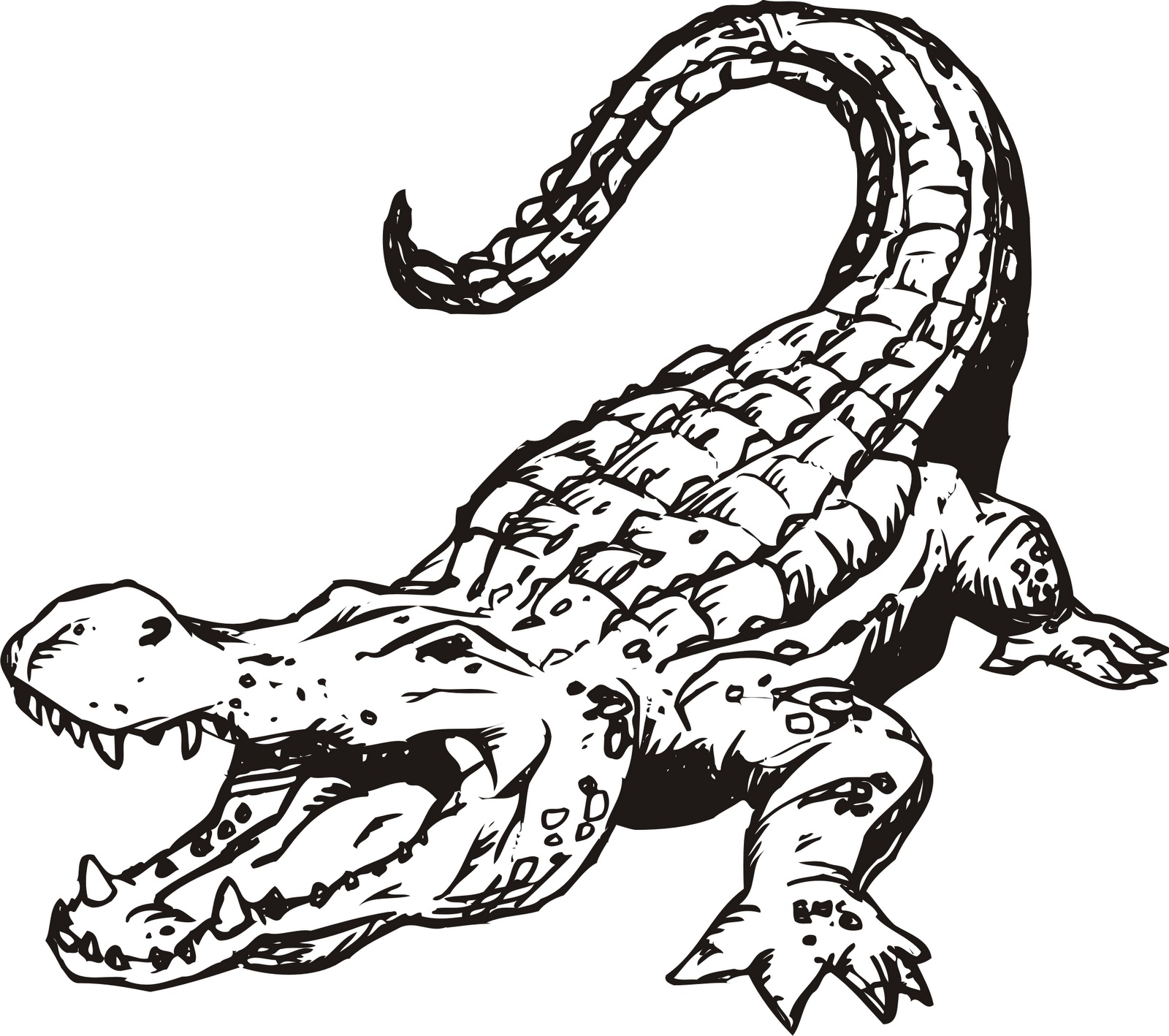1600x1418 Top Crocodile Coloring Pages