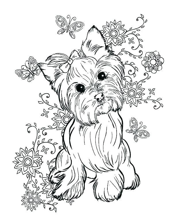 599x776 Yorkie Coloring Pages Coloring Pages Awesome Coloring Pages Image