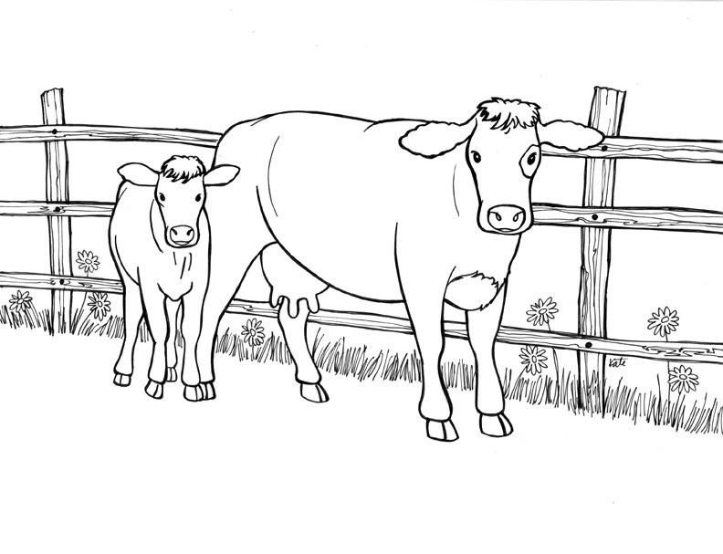 792x607 Cow And Calf Coloring Pages