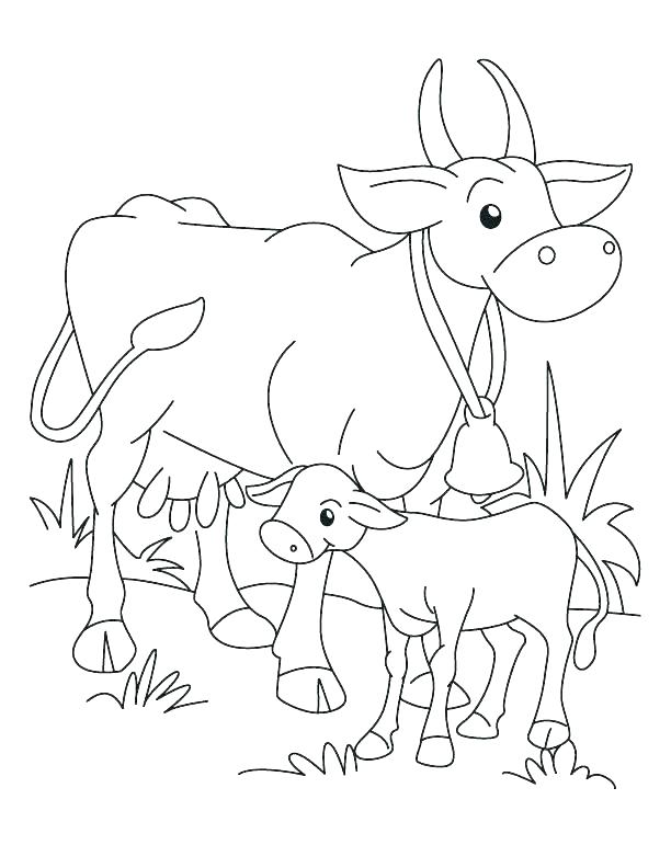 612x792 Golden Calf Colouring Pages Coloring Page Cow And Wor