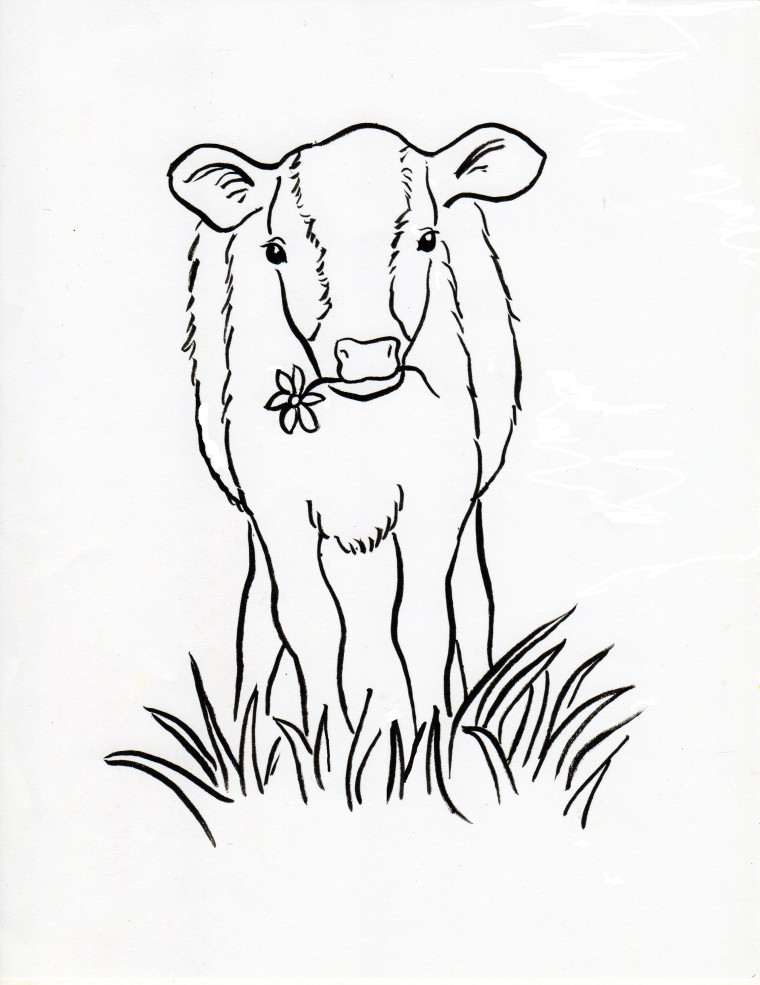 760x985 Calf Coloring Page
