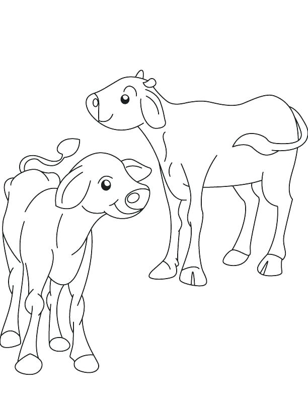 612x792 Ox Coloring Page Ox Coloring Page Two Ox Calf Coloring Page Big