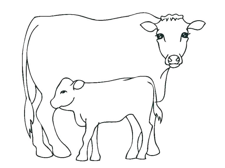 765x574 Cow Coloring Page