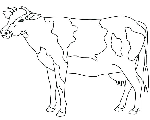 600x481 Golden Calf Coloring Page