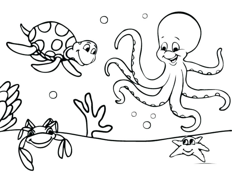 805x604 Calico Critters Coloring Pages Printable Drawings For Coloring