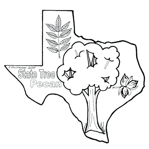 600x600 California Coloring Pages