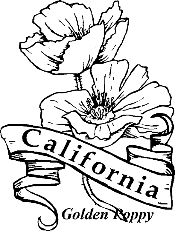 585x774 Poppy Coloring Pages