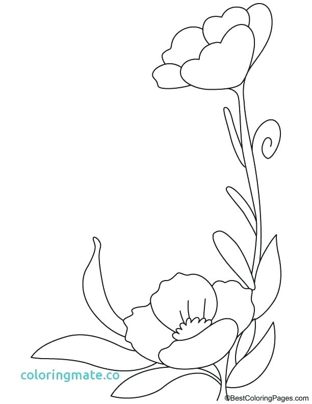 612x792 Flowers Coloring Pages With Poppy Flowers Coloring Pages