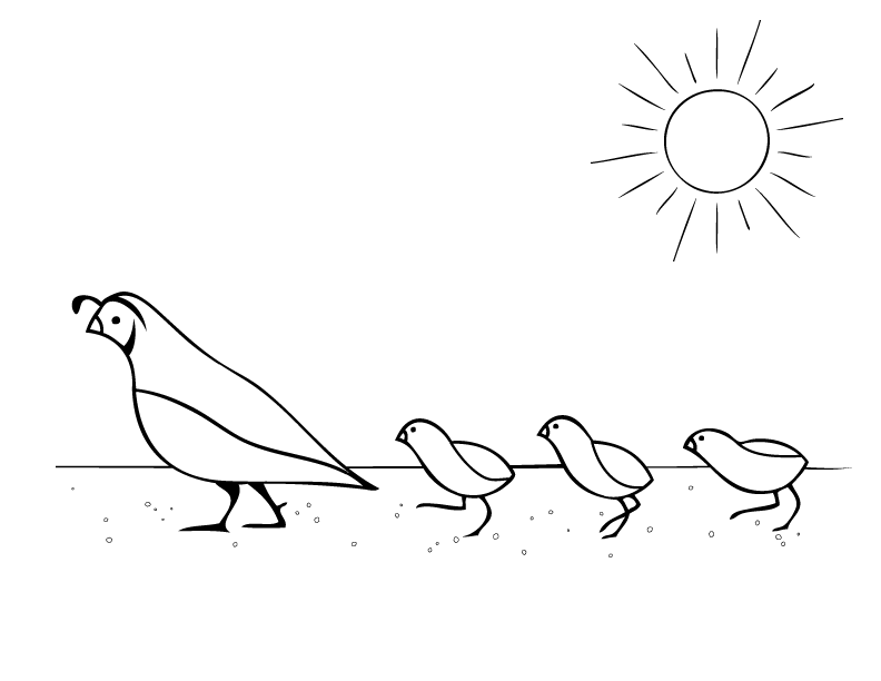 792x612 Coloring Pages Quails, Mosaics And Embroidery