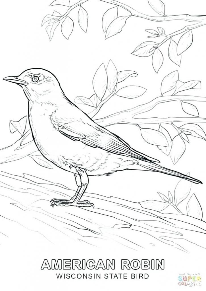 725x1024 California State Bird Coloring Page State Bird Coloring Pages