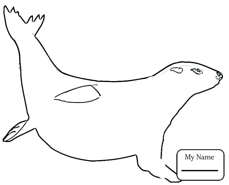 765x616 California Flag Coloring Page Flag Coloring Page States Coloring