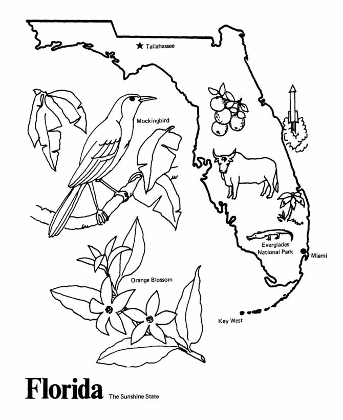 670x820 Florida State Coloring Pages