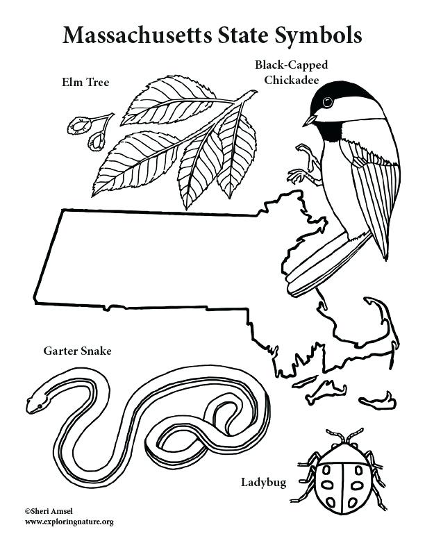 612x792 Louisiana State Symbols Coloring Pages Page Ma Fuhrer Von