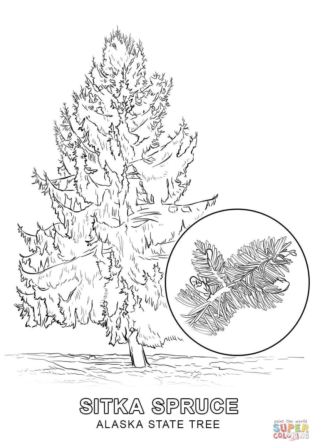 1020x1440 Alaska State Symbols Coloring Pages