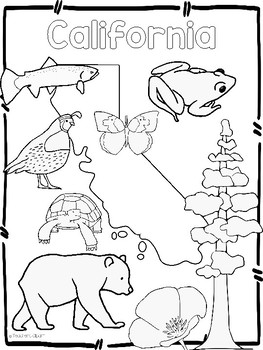 263x350 Usa State Symbols Coloring Sheets