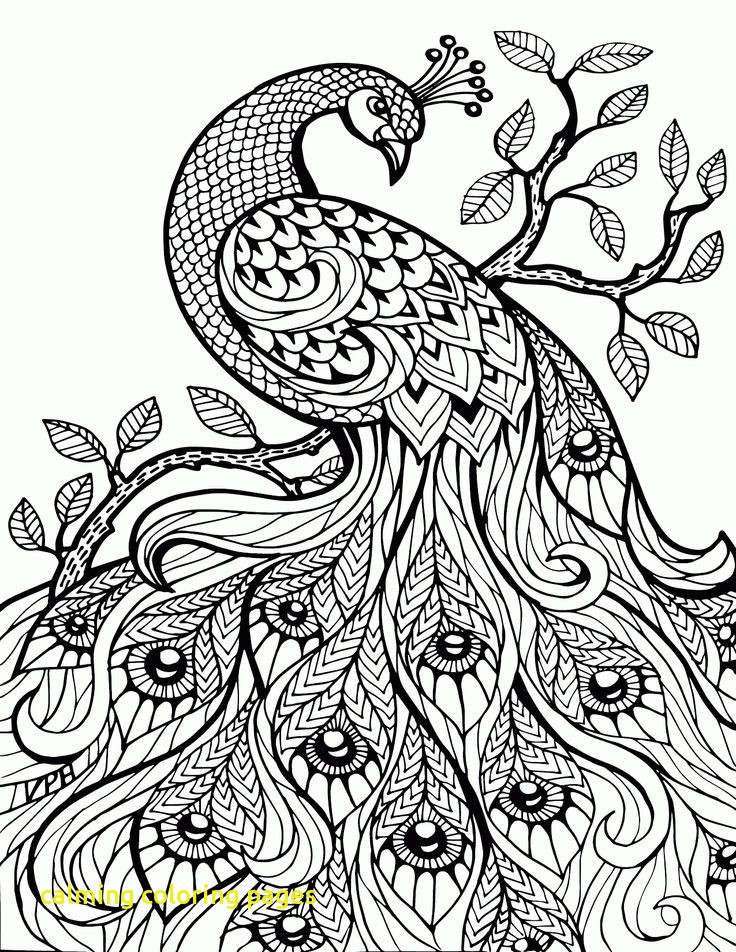 736x952 Calming Coloring Pages With Colouring Pages Free Download Best