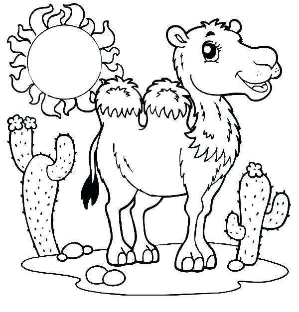 600x627 Camel Coloring Page Full Size Of Coloring Camels Coloring Pages