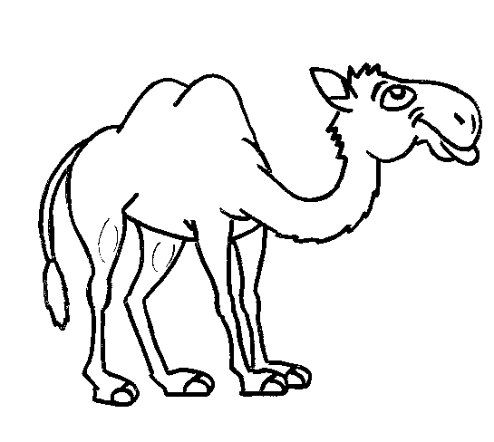545x488 Happy Humpback Camel Coloring Page
