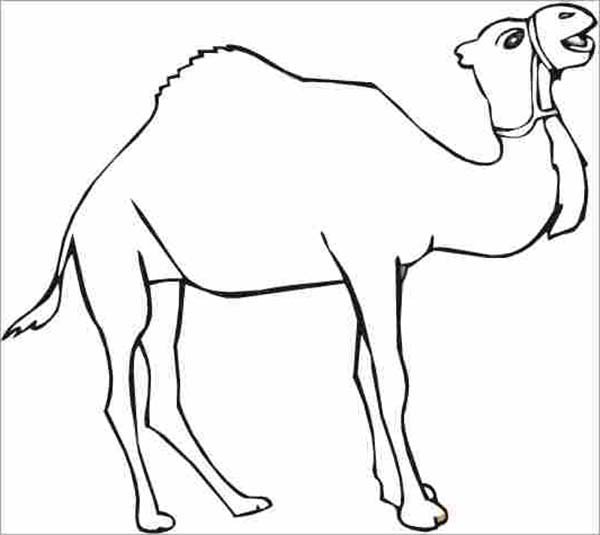 600x535 Thirsty Camel Coloring Page
