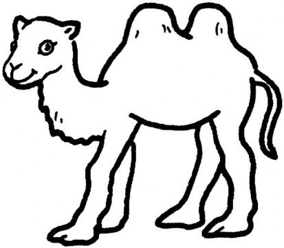 413x360 Camel Coloring Pages Show Ideas Camels