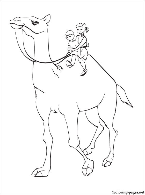 560x750 Coloring Page Kids With A Circus Camel Coloring Pages