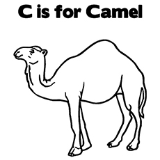 230x230 Top Printable Camel Coloring Pages Online