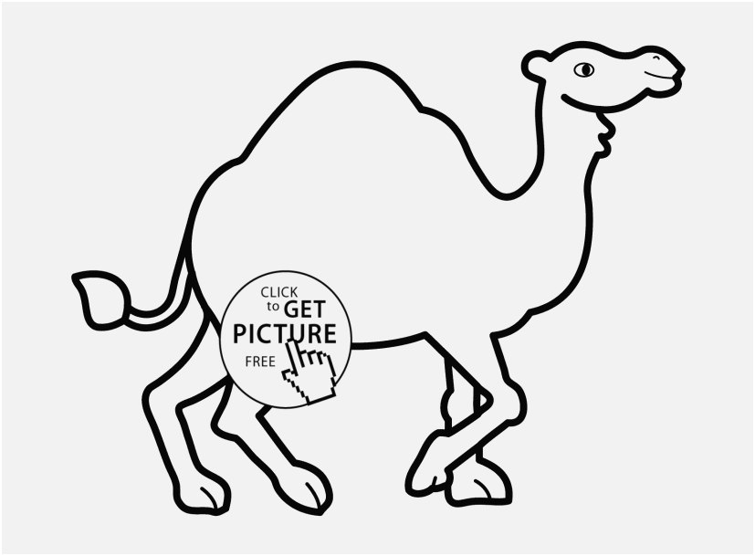 827x609 Animal Coloring Pages Printable Collection New Camel Colouring