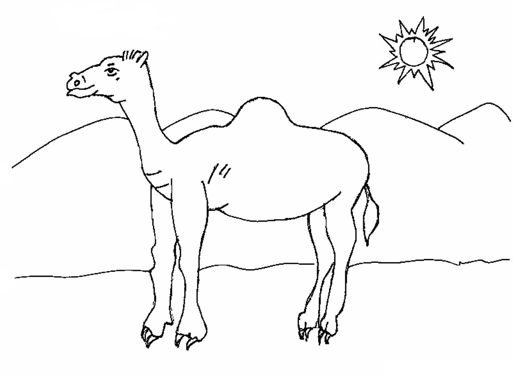 1024x768 Camel Coloring Page Luxury Free Printable Camel Coloring Pages