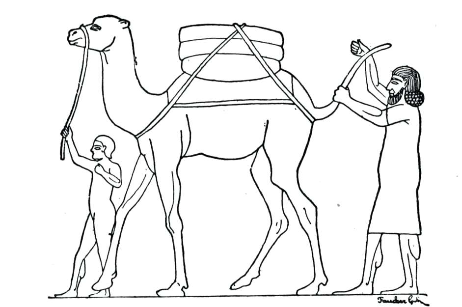 941x625 Camel Coloring Pages Free Printable Camel Coloring Pages For Kids