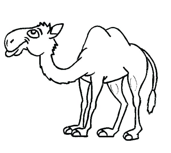 600x537 Camels Coloring Pages Cartoon Camel Coloring Pages