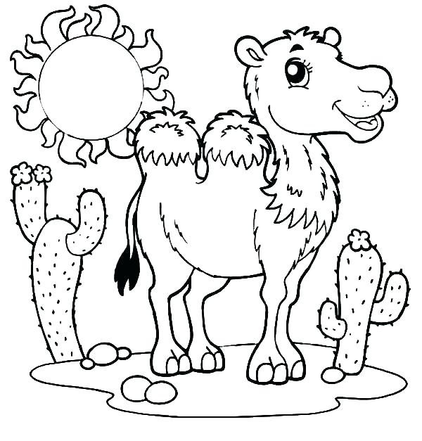600x627 Camels Coloring Pages S S Printble Camel Coloring Sheets Printable