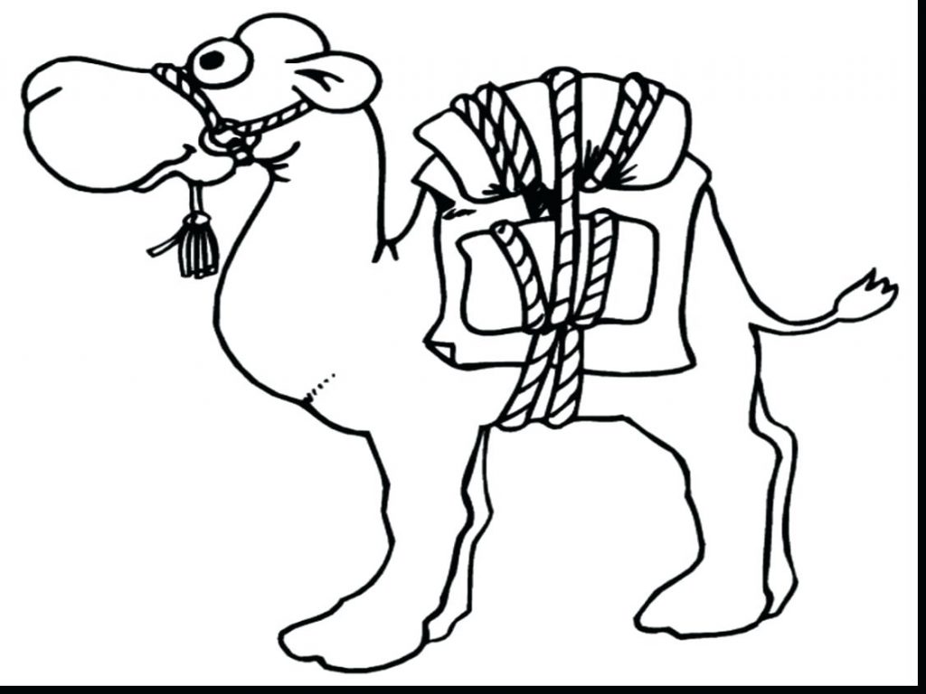 1024x768 Coloring Pages Camel Coloring Page Spectacular Printable Pages