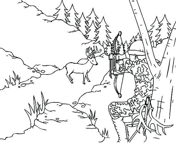 600x535 Camouflage Coloring Pages Camouflage Coloring Pages Free Animal
